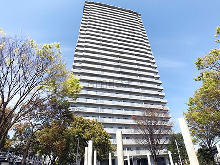 現地写真
